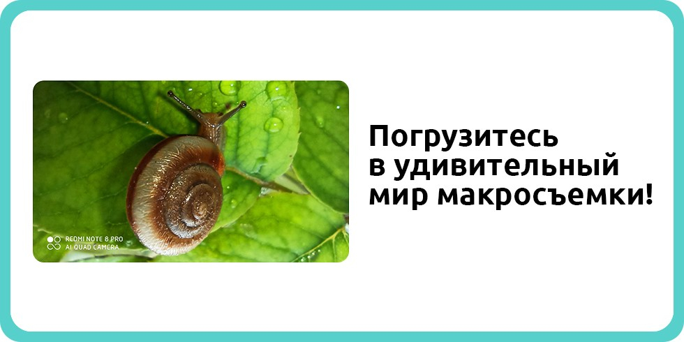 redmi_note_8_pro_opisanie_5.jpg redmi_note_8_pro_opisanie_5.jpg